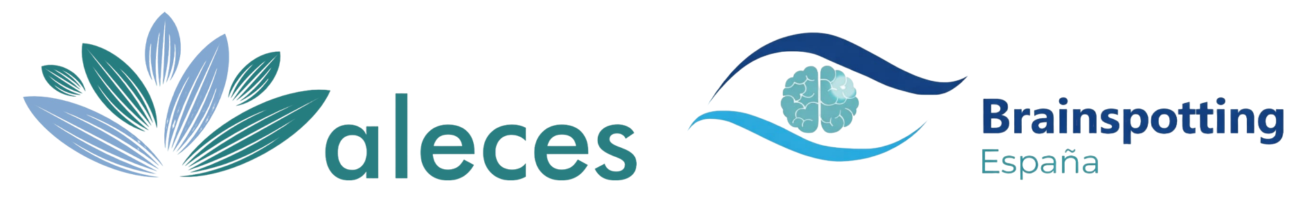 Logo BSP recortado y alargado Photoroomdfsdf